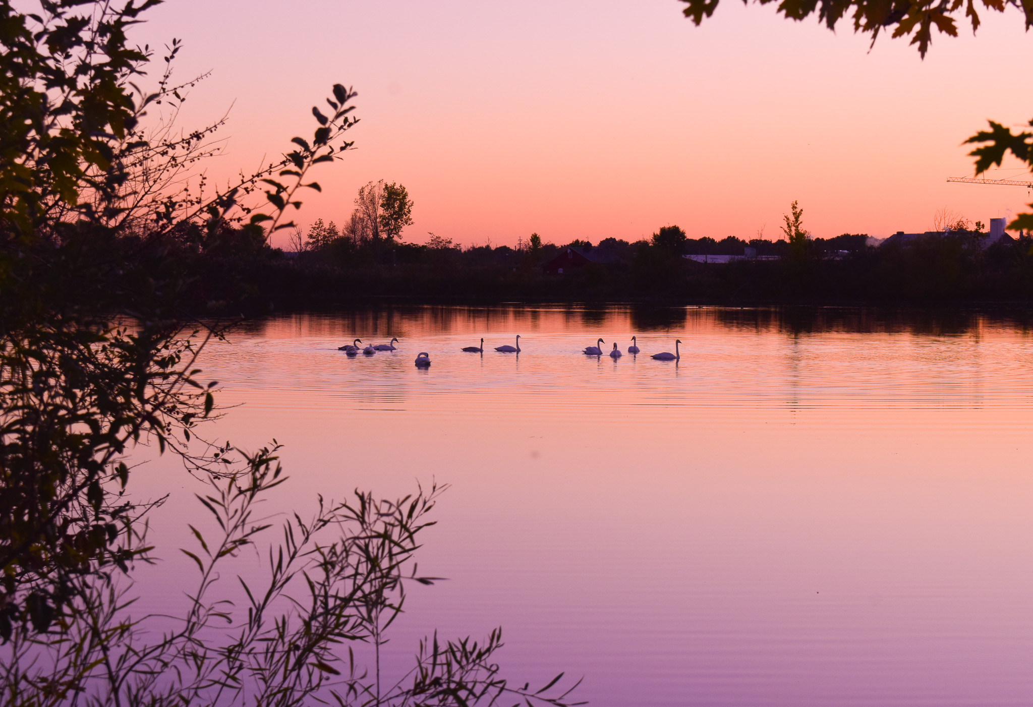 Nature Preserve Photo - Rittman Ohio